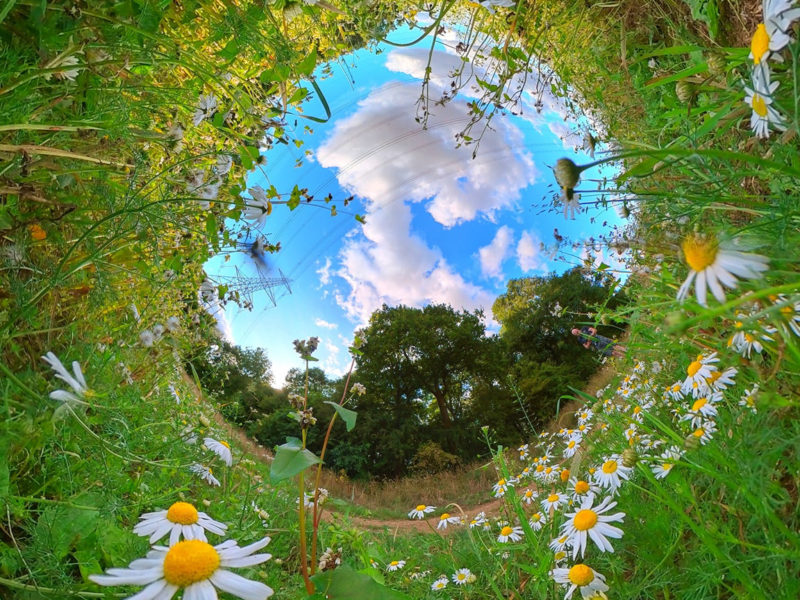 Tiny Planets - 360 Photography - Photo-images