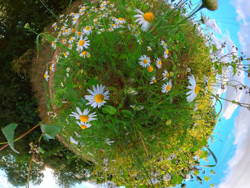 Tiny Planets - 360 Photography - Photo-images